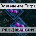 Возведение Тигра 03